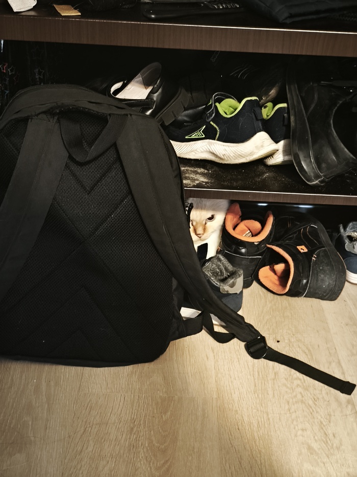 � �����, �� ���� �� ������, ��� ����...