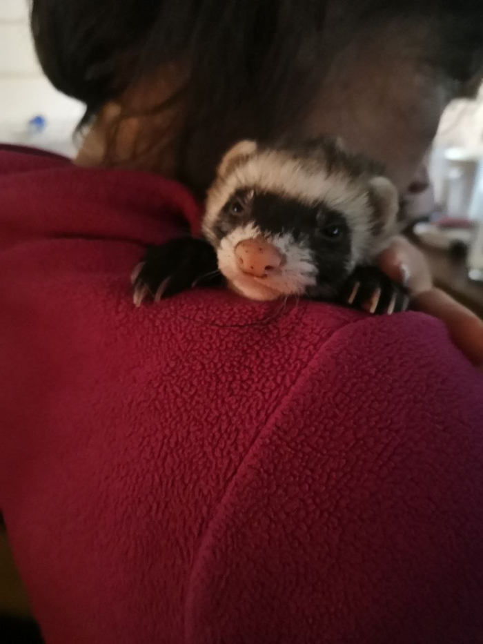 ����� ��� ������� ������� :3