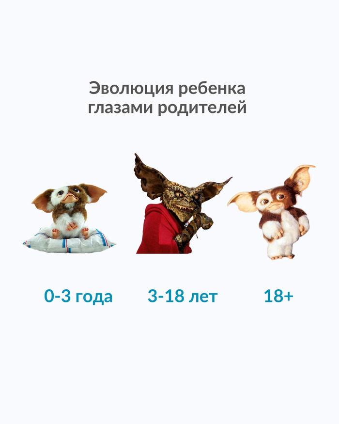 ���� �����������