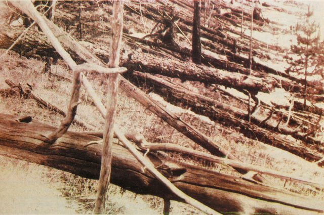 ���������� ������� � ������ ����������� �������. �� ���������� ���������� �. ������, 1929 �. ��������: Public Domain