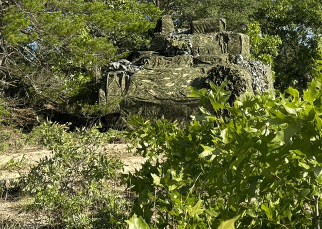 ��������� � ��������.( ����: ���� Fibrotex )