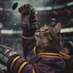 ������ ������������ Hockeyist27
