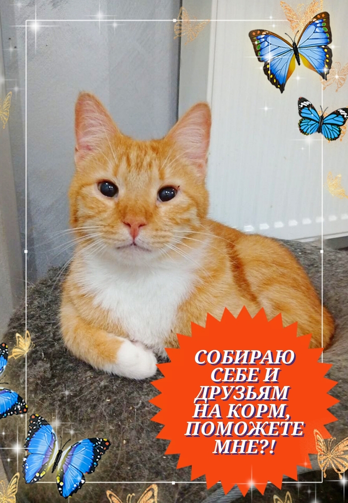 �� ���� ��� ������!