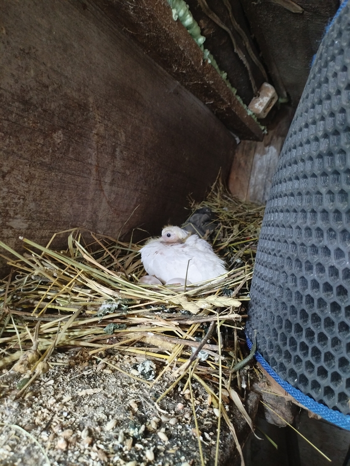 �� ��� �� �����. � � ���� �� �������, � �� �������� ���������, �������� ��� ������.