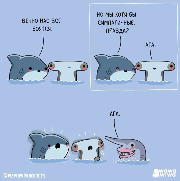 ������� - �������� ����