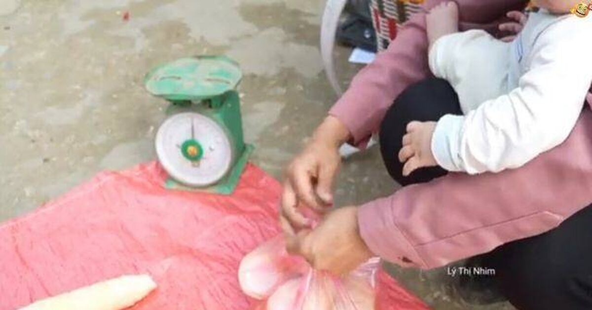 Collecting giant bamboo shoots from the forest for sale - Life in the Forest - My, Asia, Bushcraft, A life, Garden, Video, Rutube
