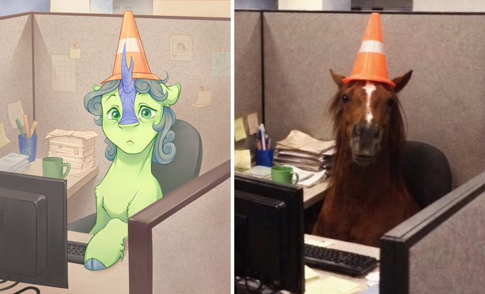 ������� ����