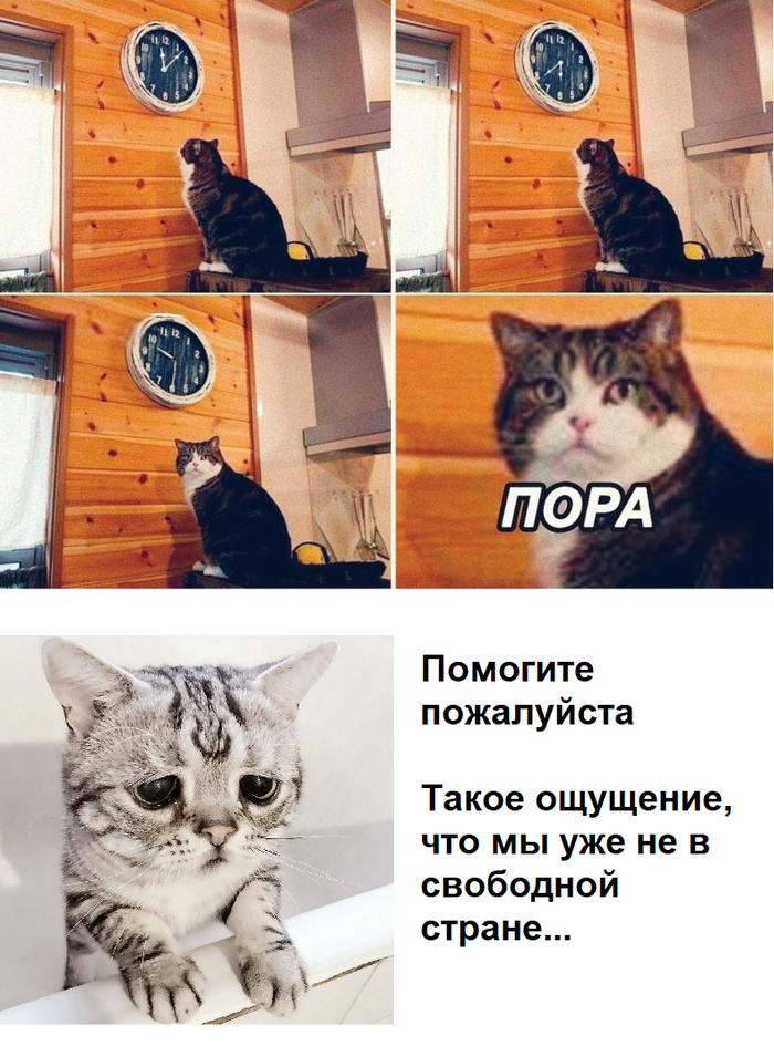 Жизненный цикл инстаграм-блогеров