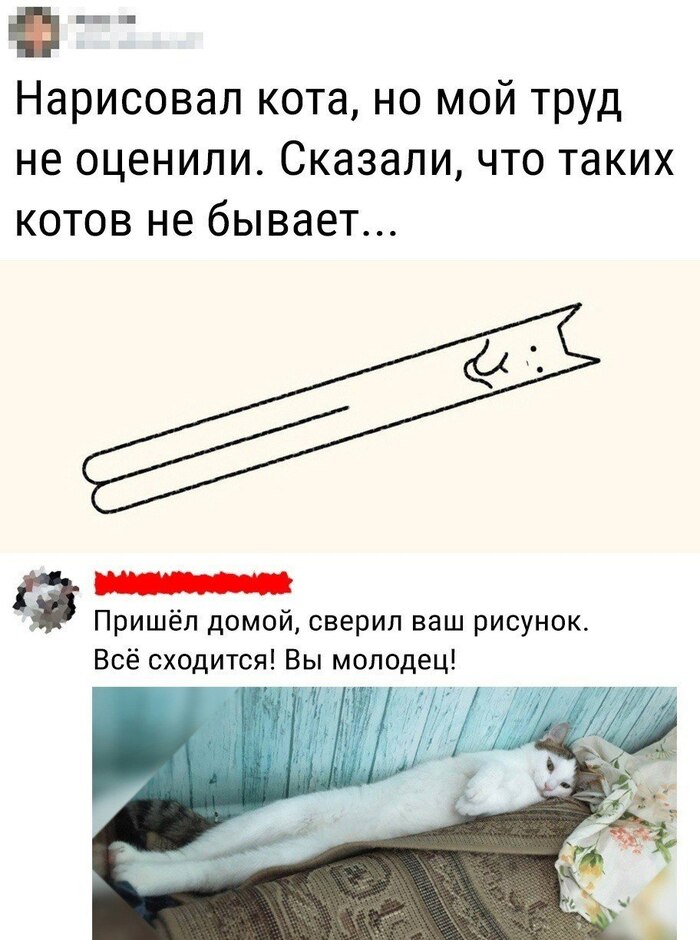 Братья-близнецы