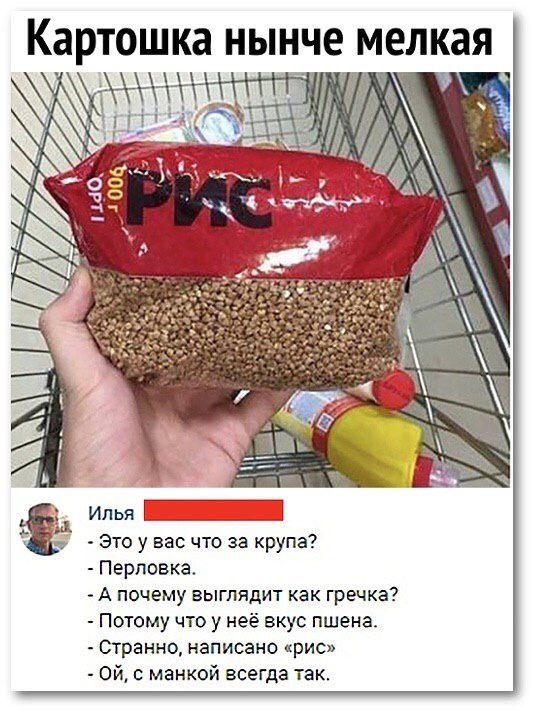 Чёртов гений