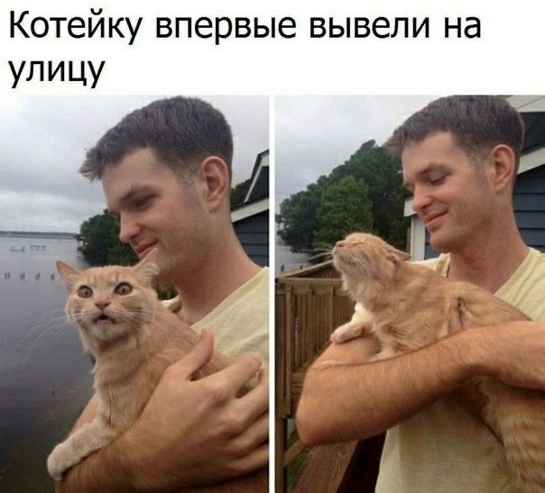 ������ ���������!