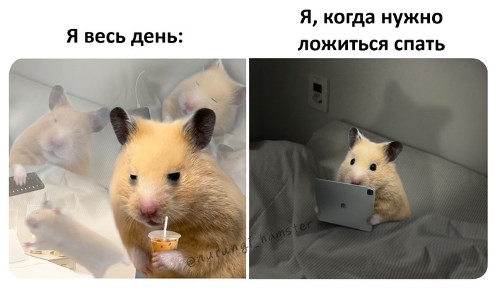 ������ ����� ������