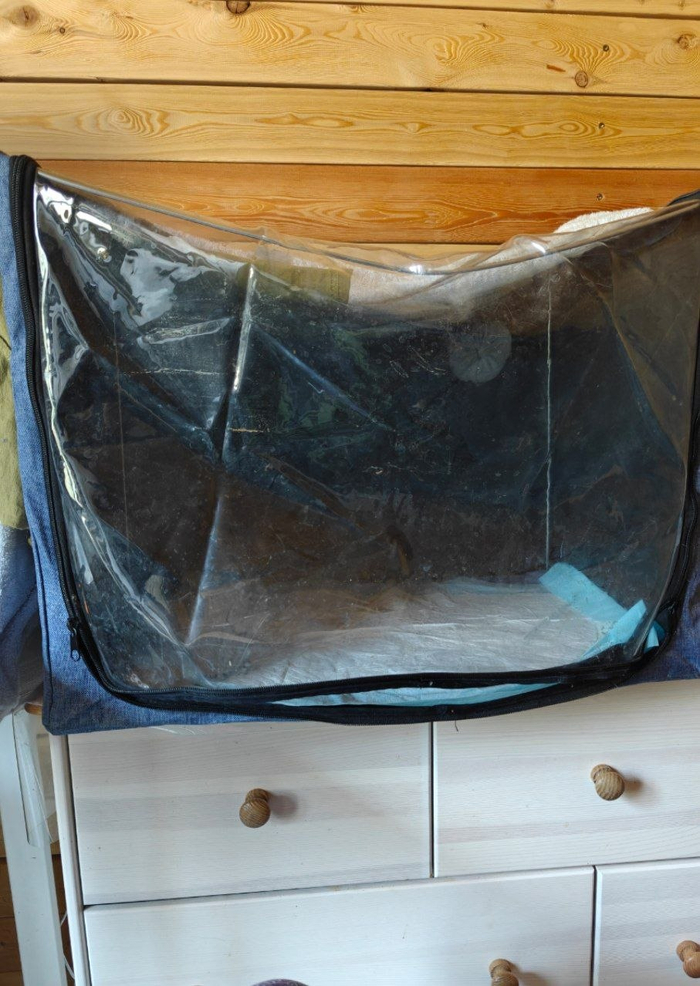 ��������� ������� ������ ������������ ������. ������, ��� �������� ���� �����