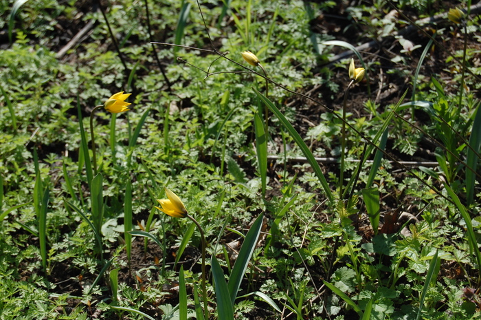 ������ � ��� ���, �� ������ � ����. ������� �����������.