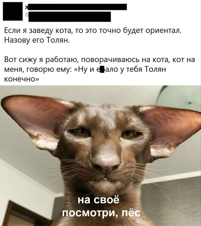 ������ �������