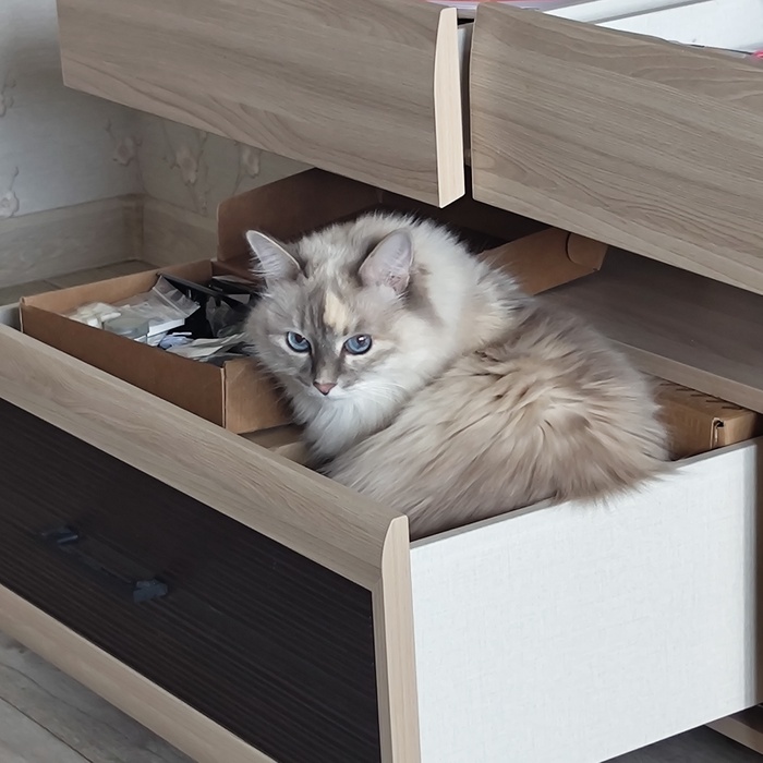 �� ��������� ��������� �����, ����� ��� ���������� ���� ������