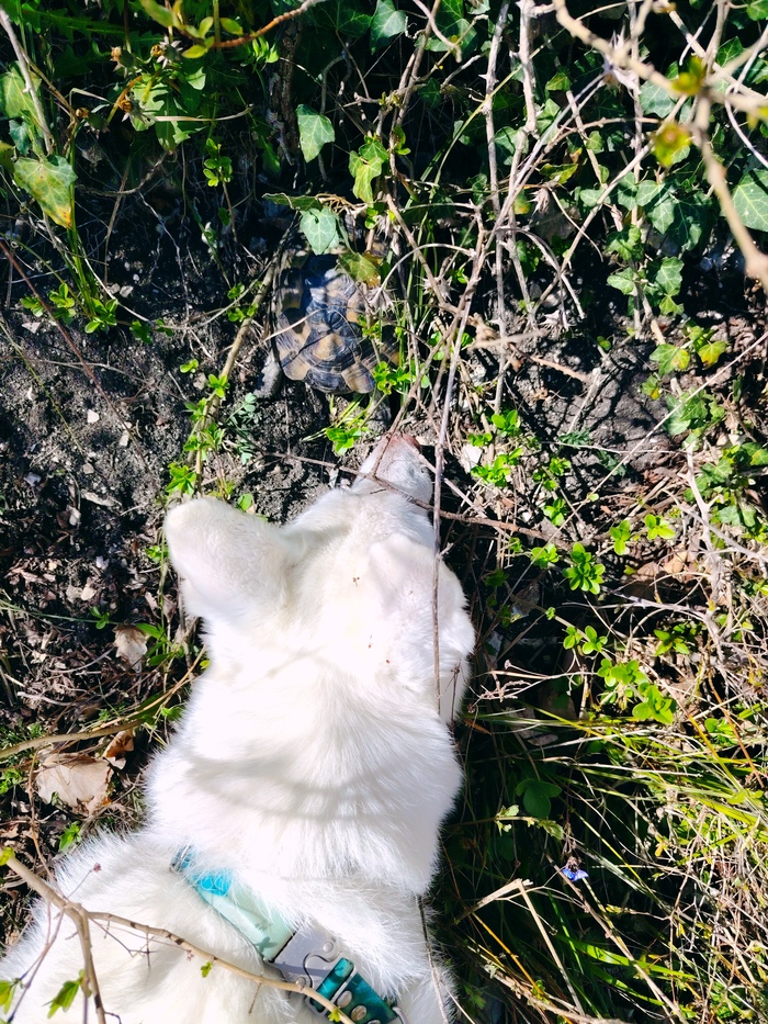 ���� ������ ���������� � ���������, �� ����� �� �� ��� ����� ����