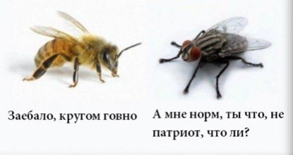 Ответ на пост «Уточнение по пределам дозволенного»