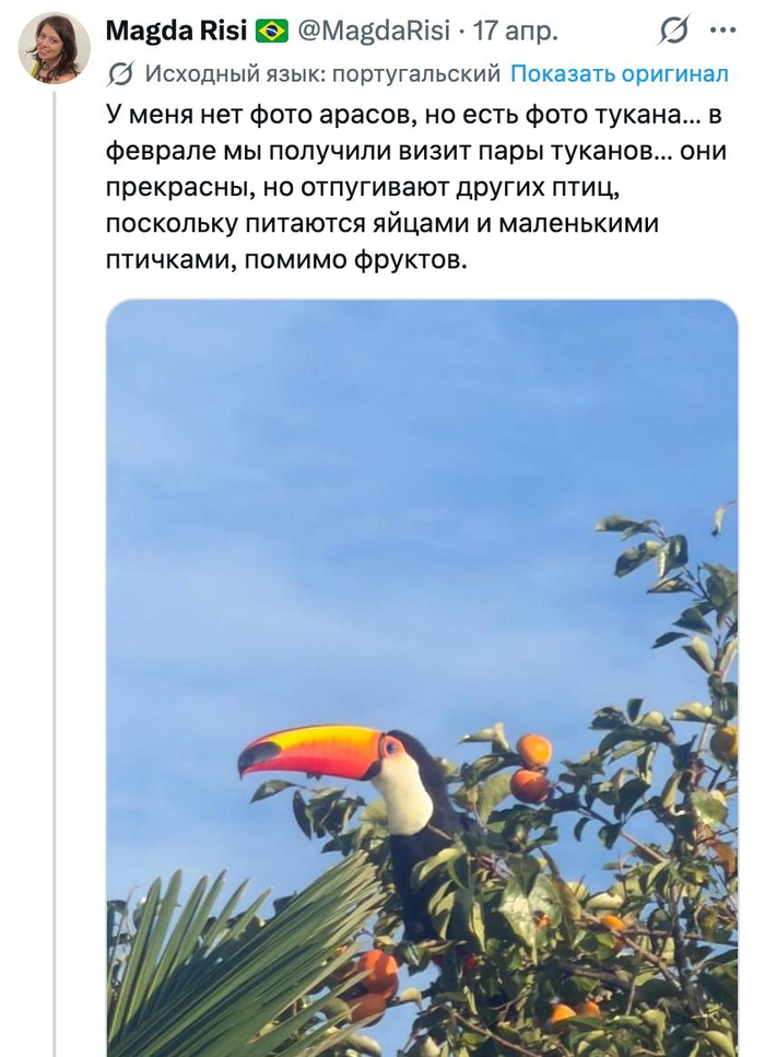 <!--noindex--><a href="https://pikabu.ru/story/prodolzhenie_posta_nemnogo_novostey_pro_avtoperevod_v_zapreshchyonnoy_sotsseti_13894384?u=https%3A%2F%2Fx.com%2Fi%2Fstatus%2F2045065014470377480&t=https%3A%2F%2Fx.com%2Fi%2Fstatus%2F2045065014470377480&h=f58c5c01041aa5b16320755ec76c5a11eca34873" title="https://x.com/i/status/2045065014470377480" target="_blank" rel="nofollow noopener">https://x.com/i/status/2045065014470377480</a><!--/noindex--> ������� ��������, �������. ����� - ��� �������