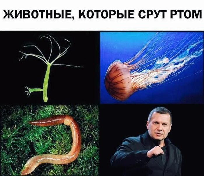 Ответ на пост «"Хватит, достаточно". Боня готовит коллективный иск к Милонову и Соловьеву. Обратилась она и к петербуржцам»