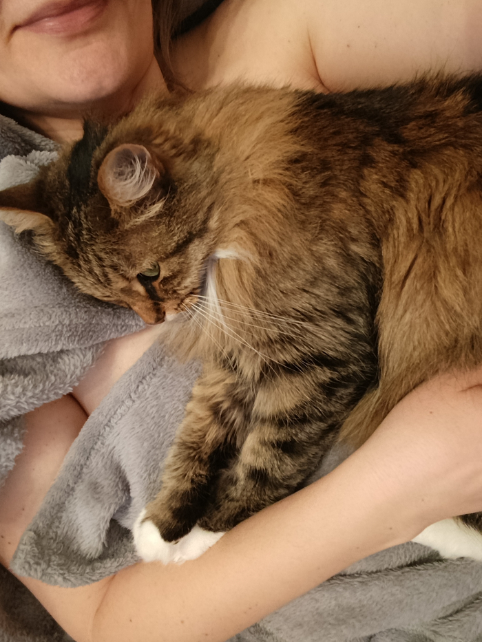 Почему изменился Пикабу