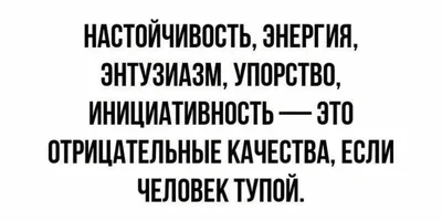 ypnarj6o.webp