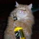 ������ ������������ nachnado