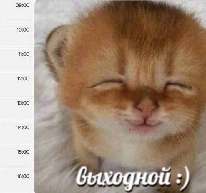 � ��� �� � ���� ������ �������