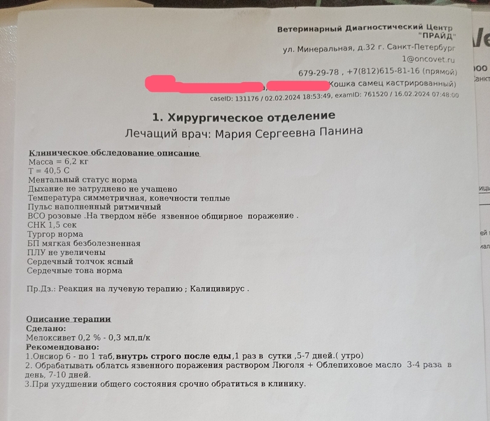 ���� ������� �������� ���� � ���� ����������: ���� �� ������, ��������� ����� 3-4 ���� � ���� ���-������ �������������� � ����������� �����, ������, �������� � �.�.. ������ ������� �� �� ������������ �����������.