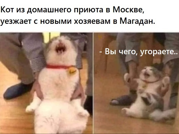 �� ���������