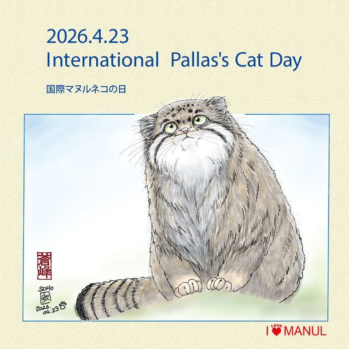 � ���������� :3