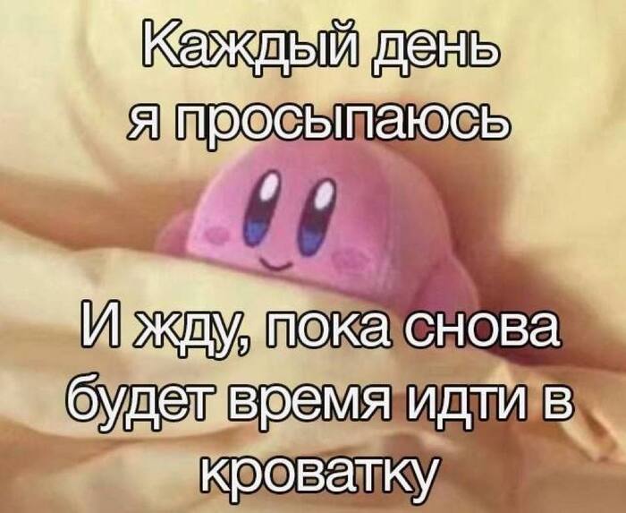 ��� ���� ����