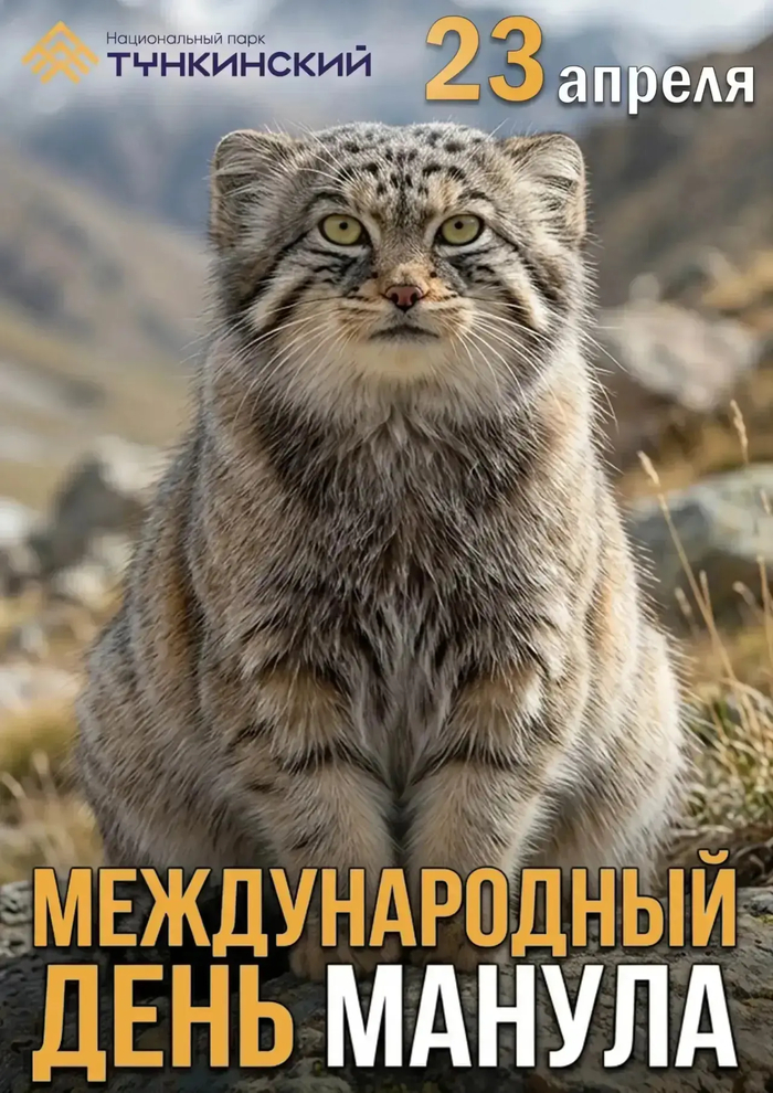 �������� � ������� <a href="https://pikabu.ru/story/segodnya__mezhdunarodnyiy_den_manula_13909266?u=https%3A%2F%2Fmax.ru%2Fid320000352_gos%2FAZ24lM_CGv4&t=%D0%BE%D1%82%D1%81%D1%8E%D0%B4%D0%B0&h=1db1765b792bd2651071389d4efa8d5cc849fc32" title="https://max.ru/id320000352_gos/AZ24lM_CGv4" target="_blank" rel="nofollow noopener">������</a>