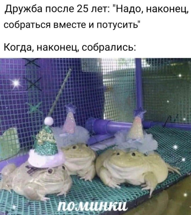 ��� ���������� ����� 25