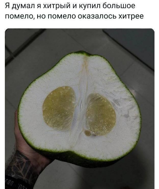 �����