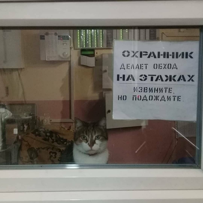 ��������, �� ���������