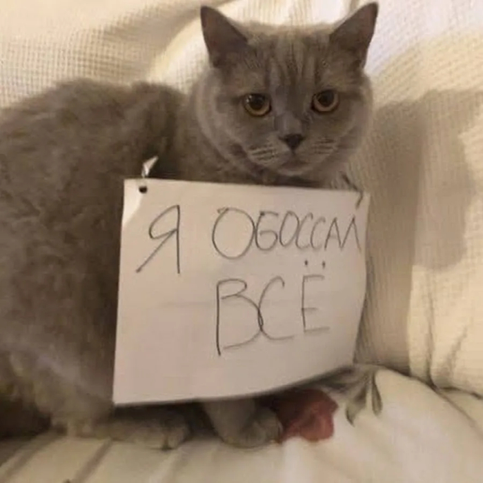 #��52