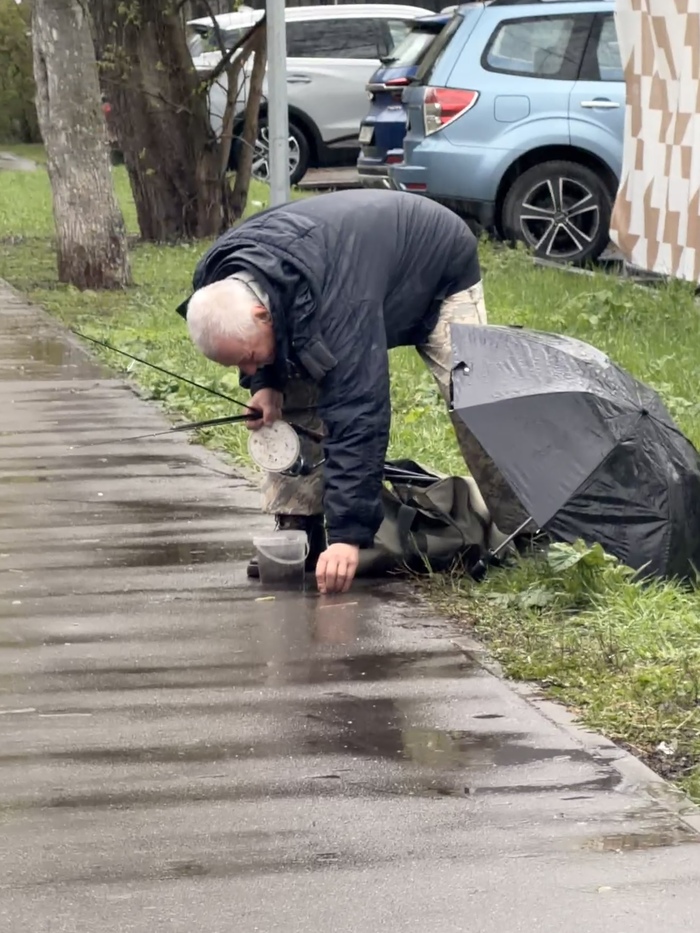 � ����������� �������� �����