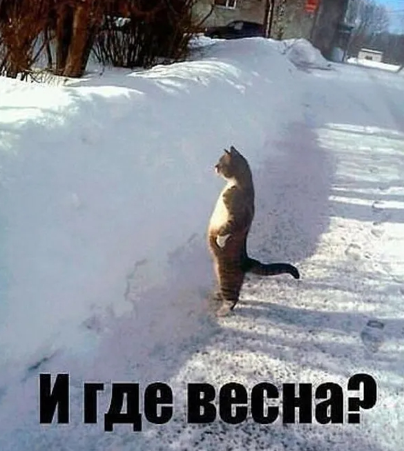 ��� �����?!