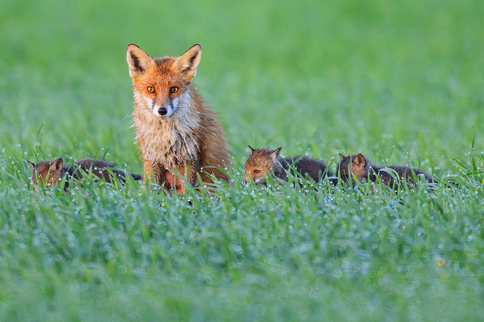 ������ � ���������� ��� �������������//����: Patrick Pleul/dpa (Photo by Patrick Pleul/picture alliance via Getty Images