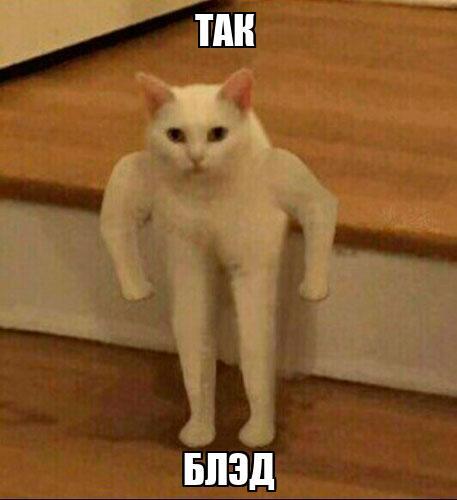 ��� ���� � �����