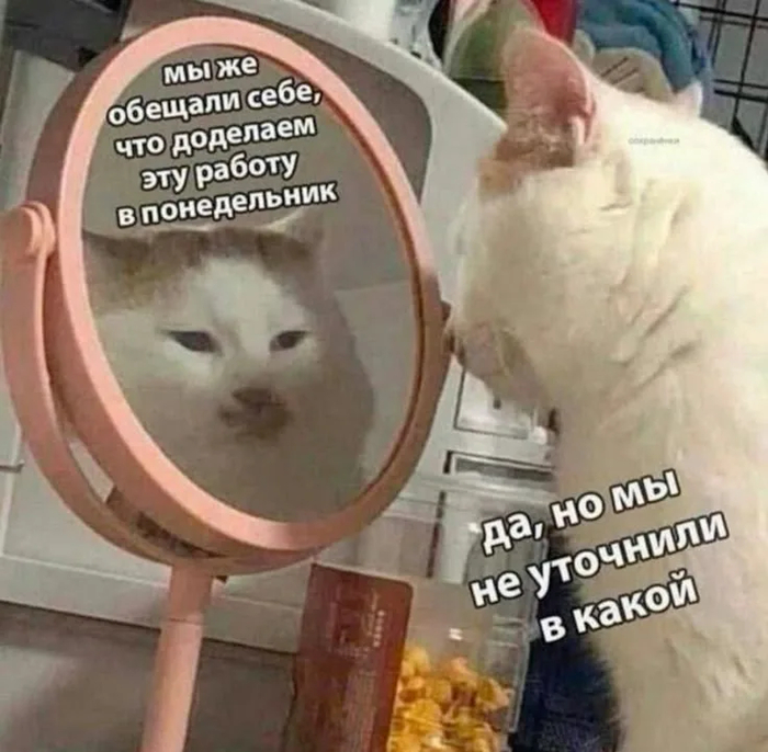 #O�62