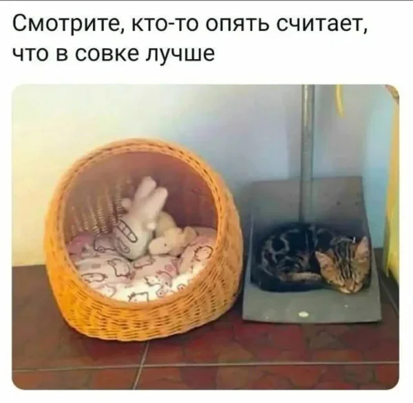 pxtaq6yn.webp