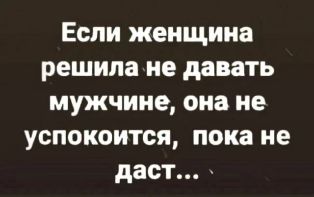 7ivarxlo.webp