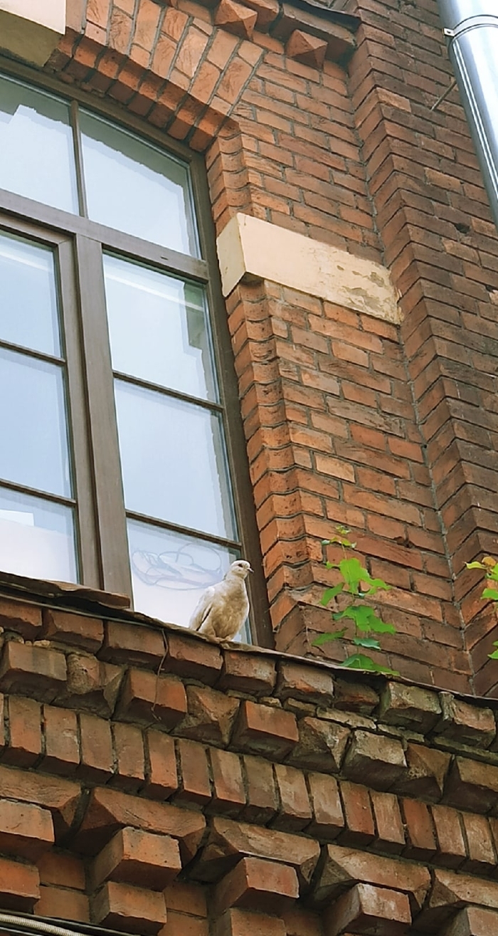 ������� ������ ������ �� ���� ������� ������