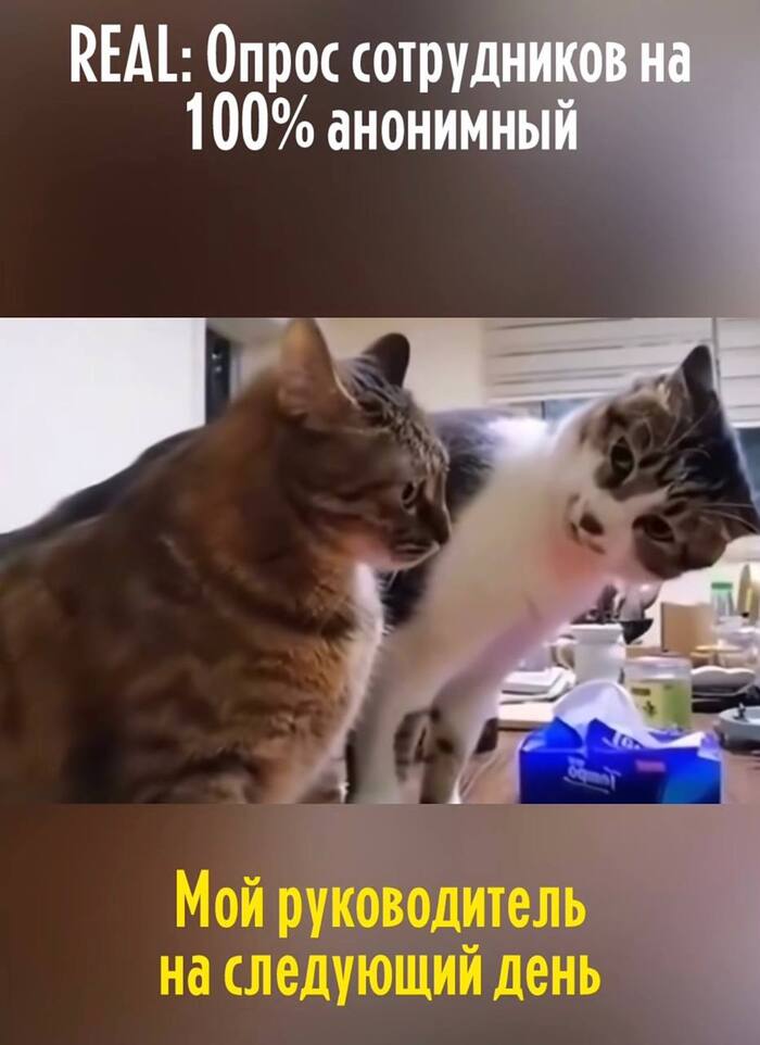 � �����-�� ���� �� ���?