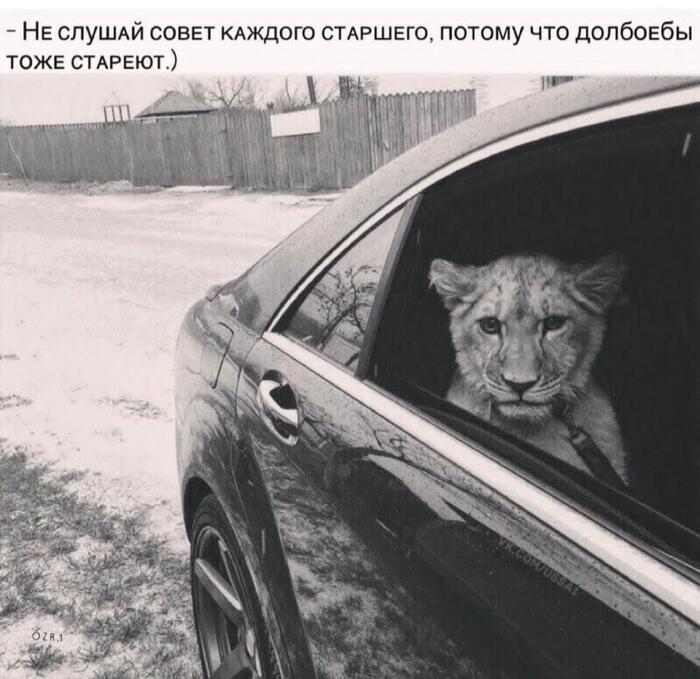Ответ на пост «Почему "налог на развод" не работает»