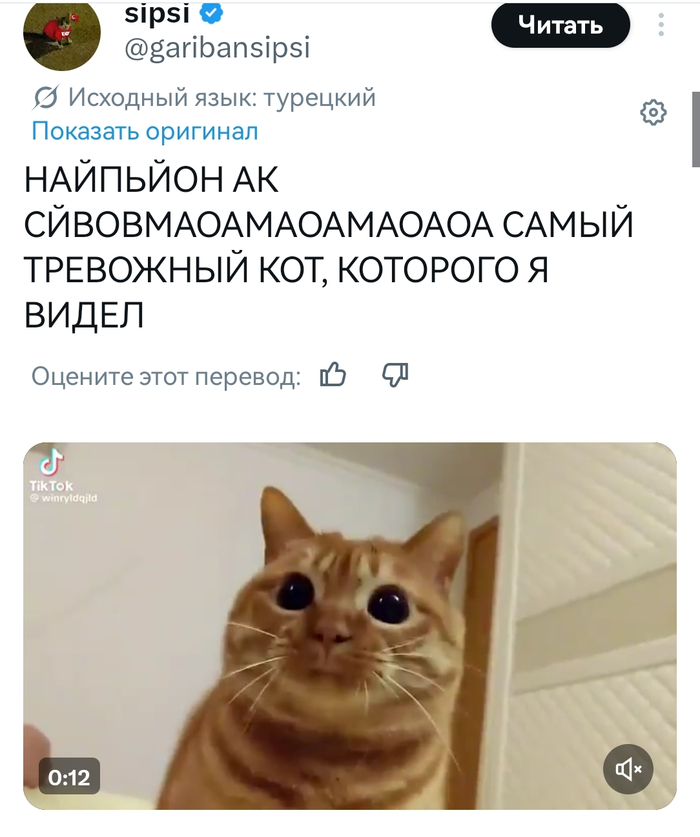 <!--noindex--><a href="https://pikabu.ru/story/prodolzhenie_posta_nemnogo_novostey_pro_avtoperevod_v_zapreshchyonnoy_sotsseti_13940627?u=https%3A%2F%2Fx.com%2Fgaribansipsi&t=https%3A%2F%2Fx.com%2Fgaribansipsi&h=d9b8435491c915289a998d8037ed5fff17d73093" title="https://x.com/garibansipsi" target="_blank" rel="nofollow noopener">https://x.com/garibansipsi</a><!--/noindex-->