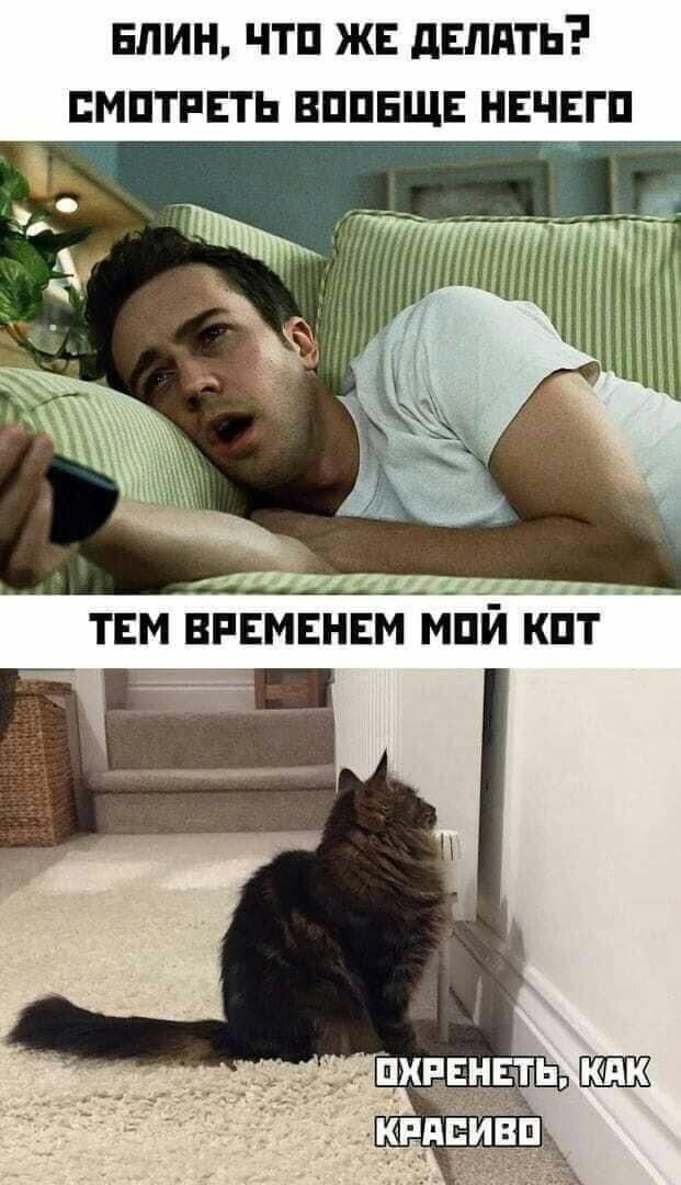 ������� ���� ������ ���, ��� �� ���. ��� ������� ������� ���, ��� � �� �����