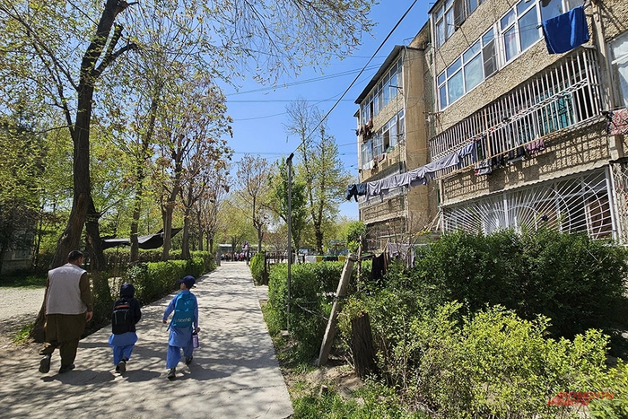 �����������, ����������� ��� ���� � ������. ����: <a href="https://pikabu.ru/story/kupi_russkuyu_kvartiru_pozhit_v_komnate_vremen_sssr_zdes_stoit_120_000_13942221?u=https%3A%2F%2Faif.ru%2F&t=%D0%90%D0%B8%D0%A4&h=f5982b8f2d6f8c417b8f18af99b707f0561b0035" title="https://aif.ru/" target="_blank" rel="nofollow noopener">���</a>/ ������� �����